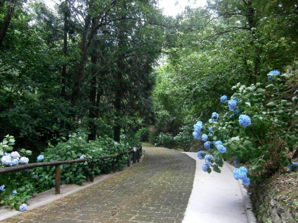Il Bosco Di Campo Marzano Garden Apartments Borzonasca Exterior photo