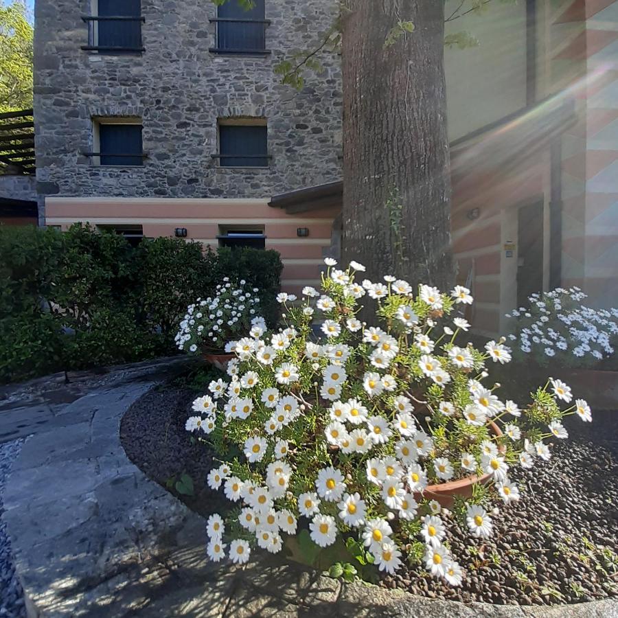 Il Bosco Di Campo Marzano Garden Apartments Borzonasca Exterior photo